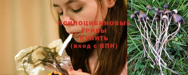 хмурый Алексеевка