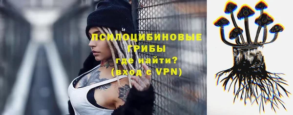 мяу мяу мука Абинск