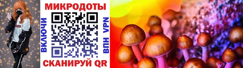 Псилоцибиновые грибы Magic Shrooms  даркнет сайт  Дубовка 